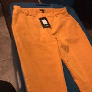 Gold colored FashonNova pants